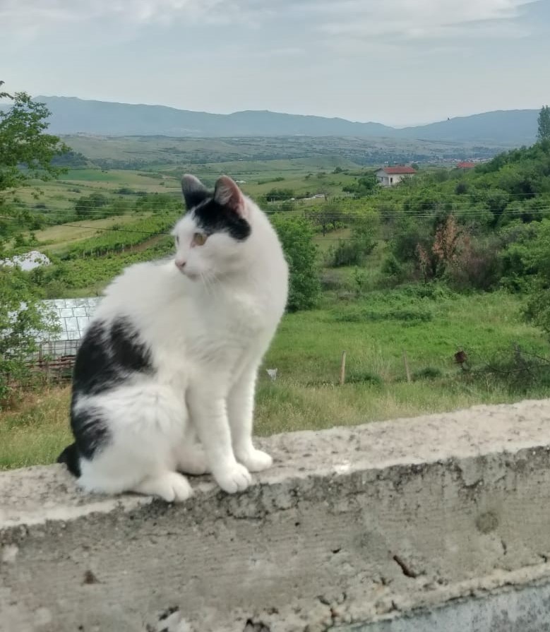 Lumikki Bulgariassa