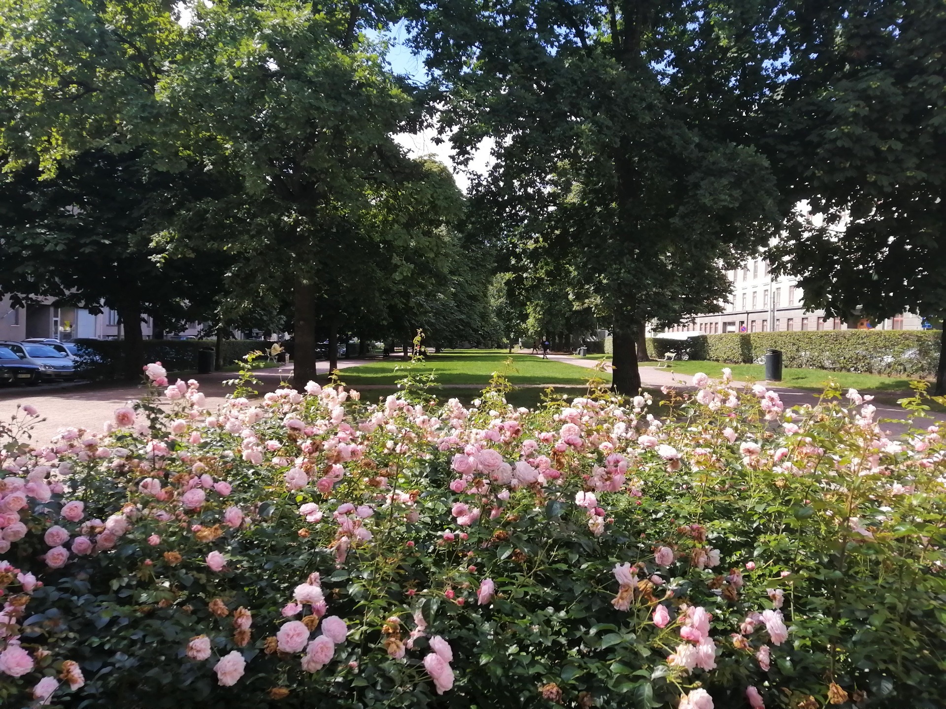 Hesperian Esplanadi